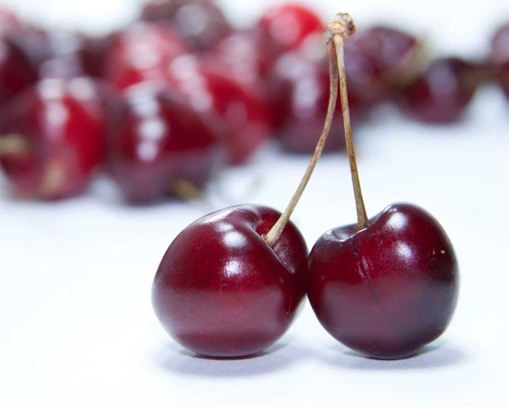 The Introduction of Cherries