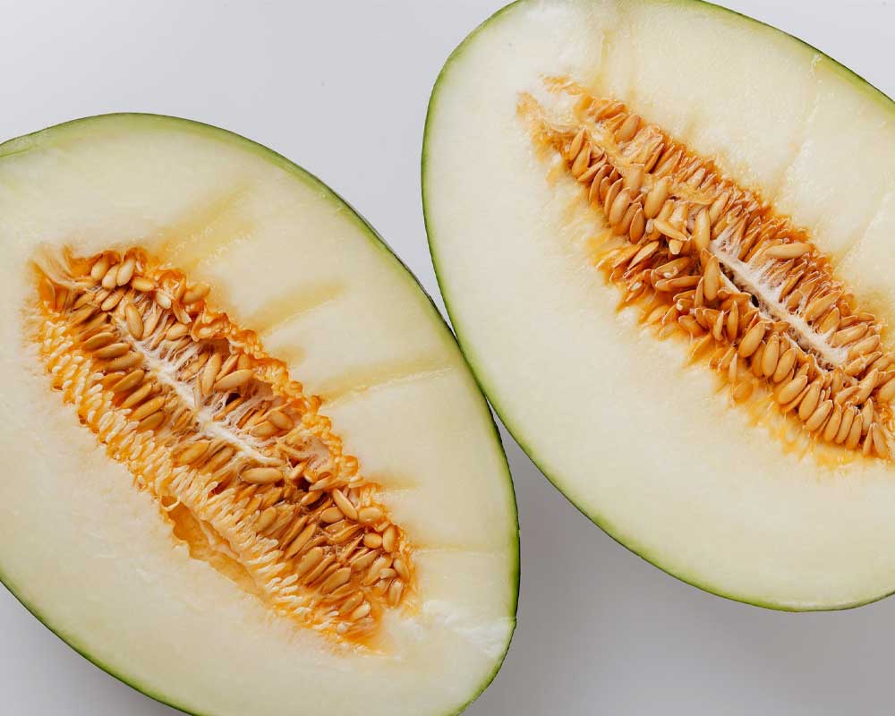 The Allure of Cantaloupe: A Sweet Introduction