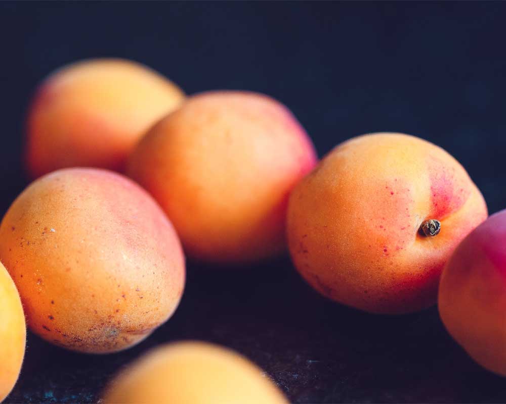 Plum: The Nutritional Powerhouse