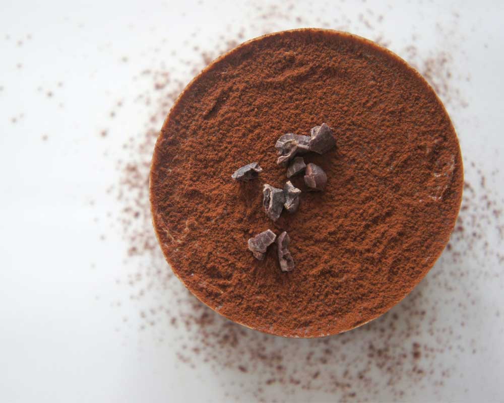 Is Cocoa Powder Vegan